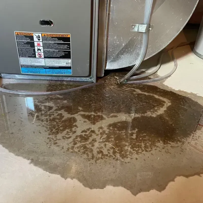 Appliance Leak Cleanup in Ridgely, TN